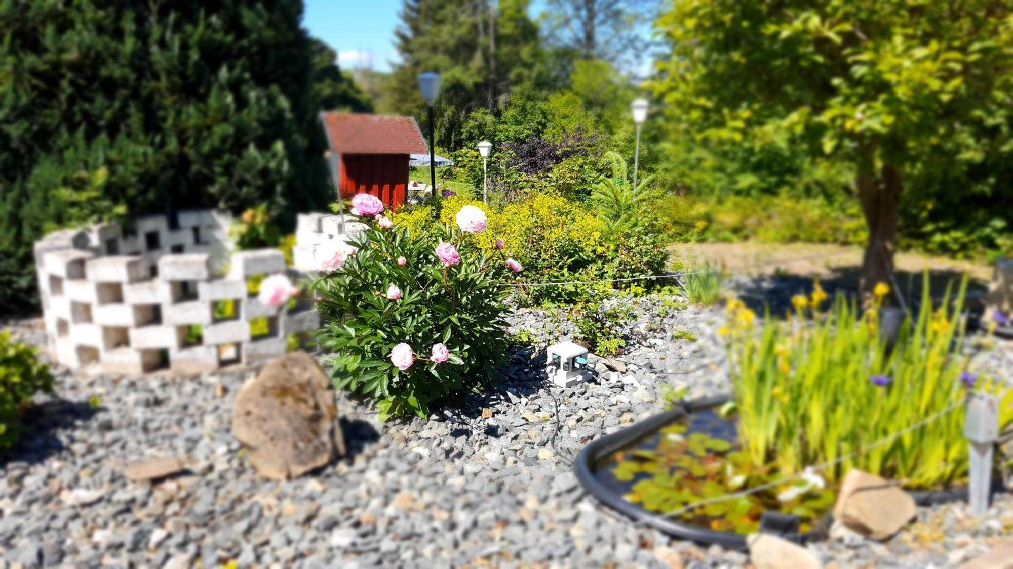 Hotel Schneiderhof Braunlage Eksteriør bilde