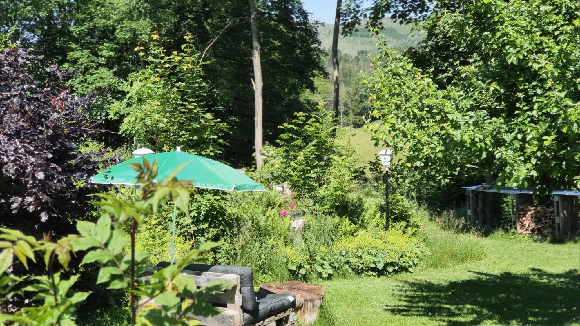 Hotel Schneiderhof Braunlage Eksteriør bilde