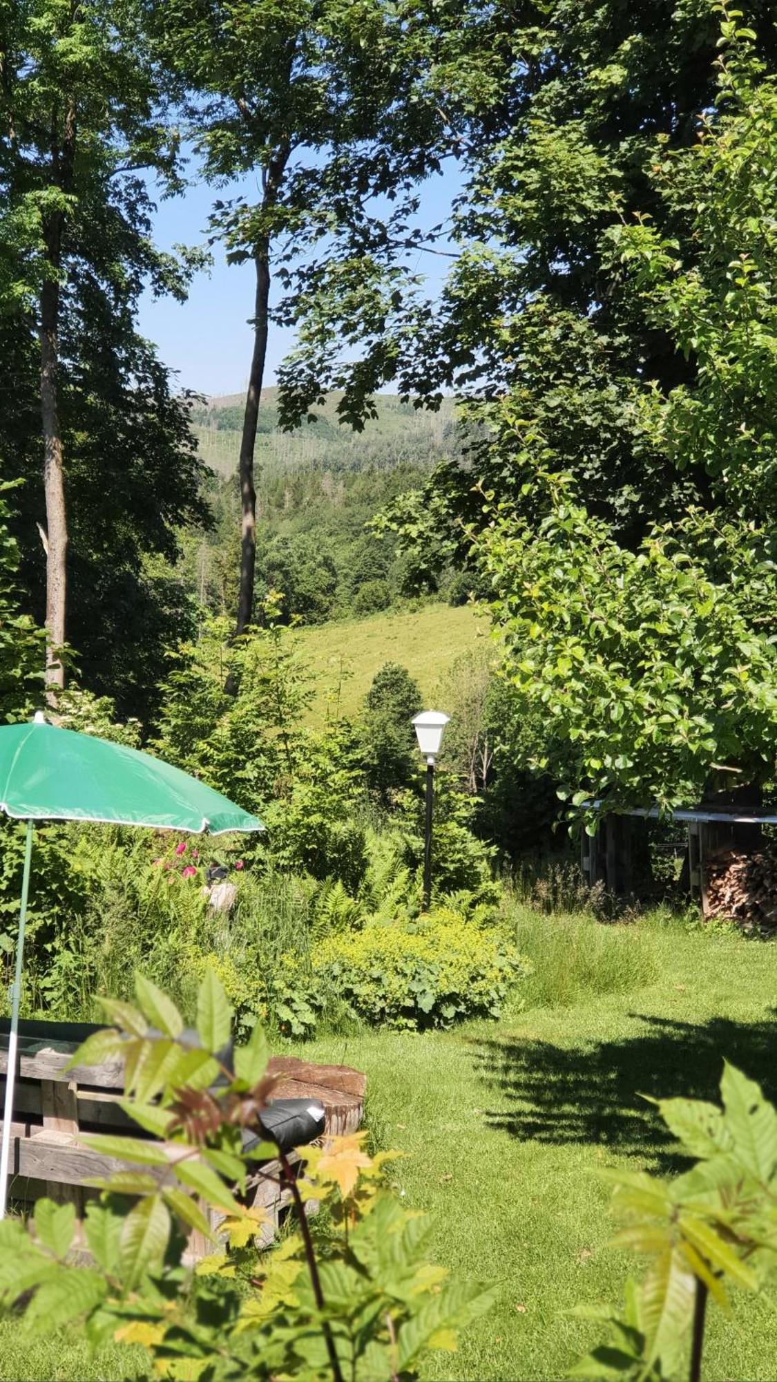 Hotel Schneiderhof Braunlage Eksteriør bilde